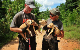 Picture of members of the ASPCA holding several young dogs.